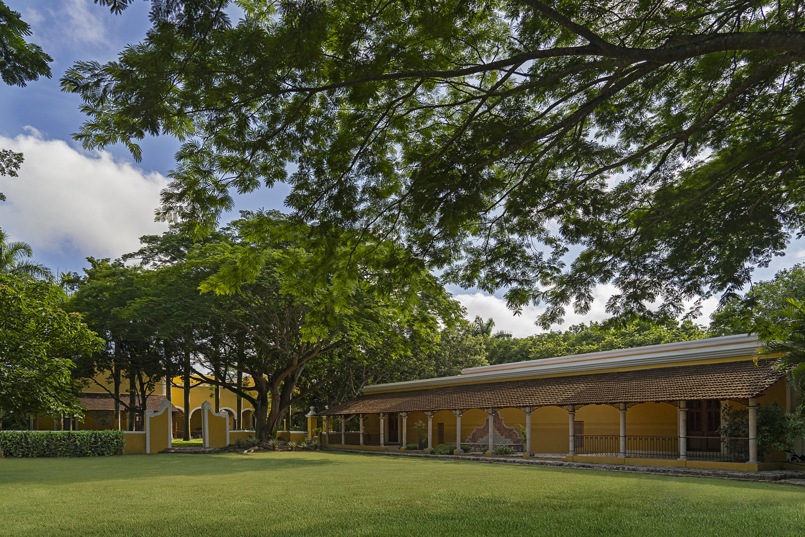 Jardín y edificio histórico bajo los árboles