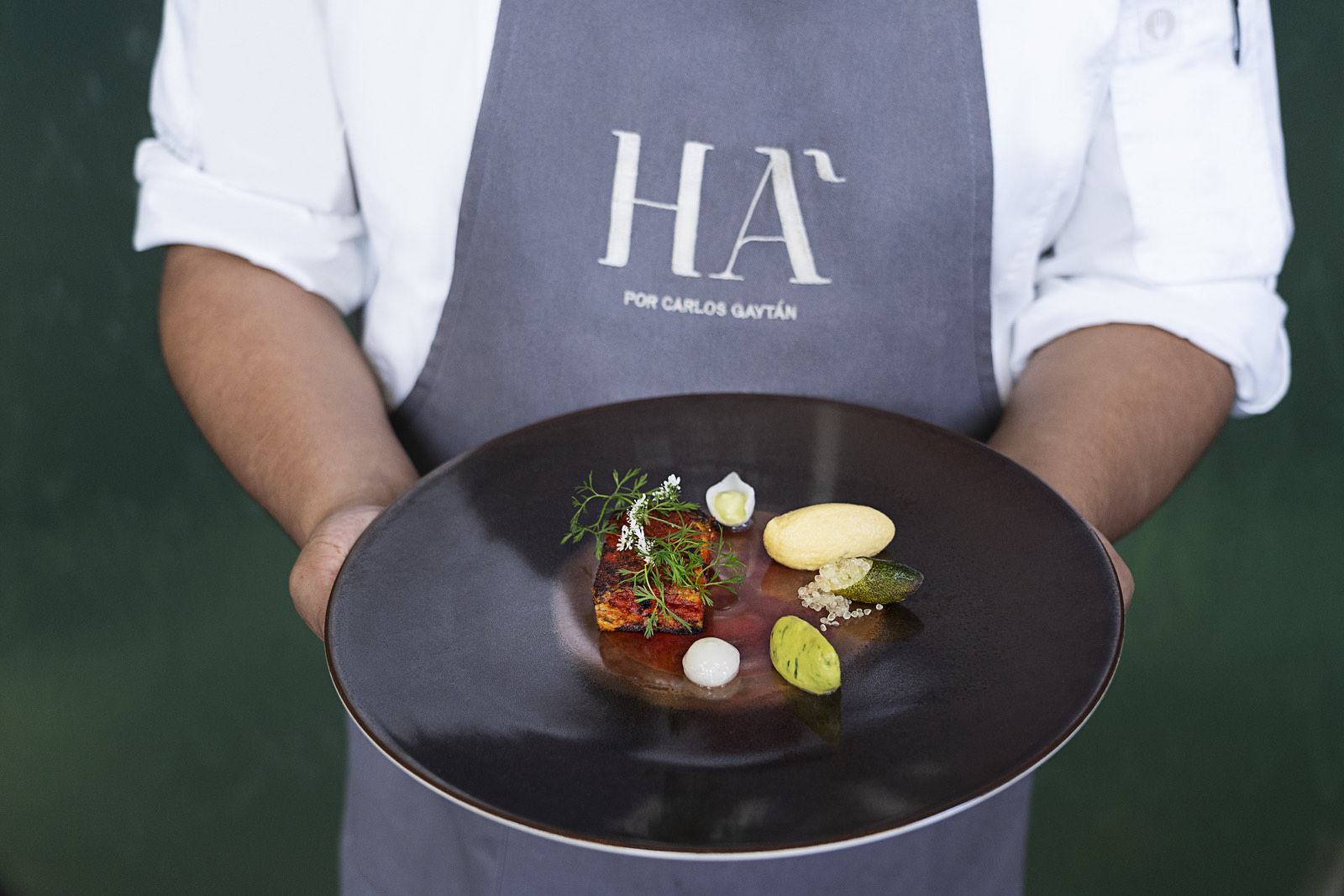 Chef sosteniendo un plato de alta cocina