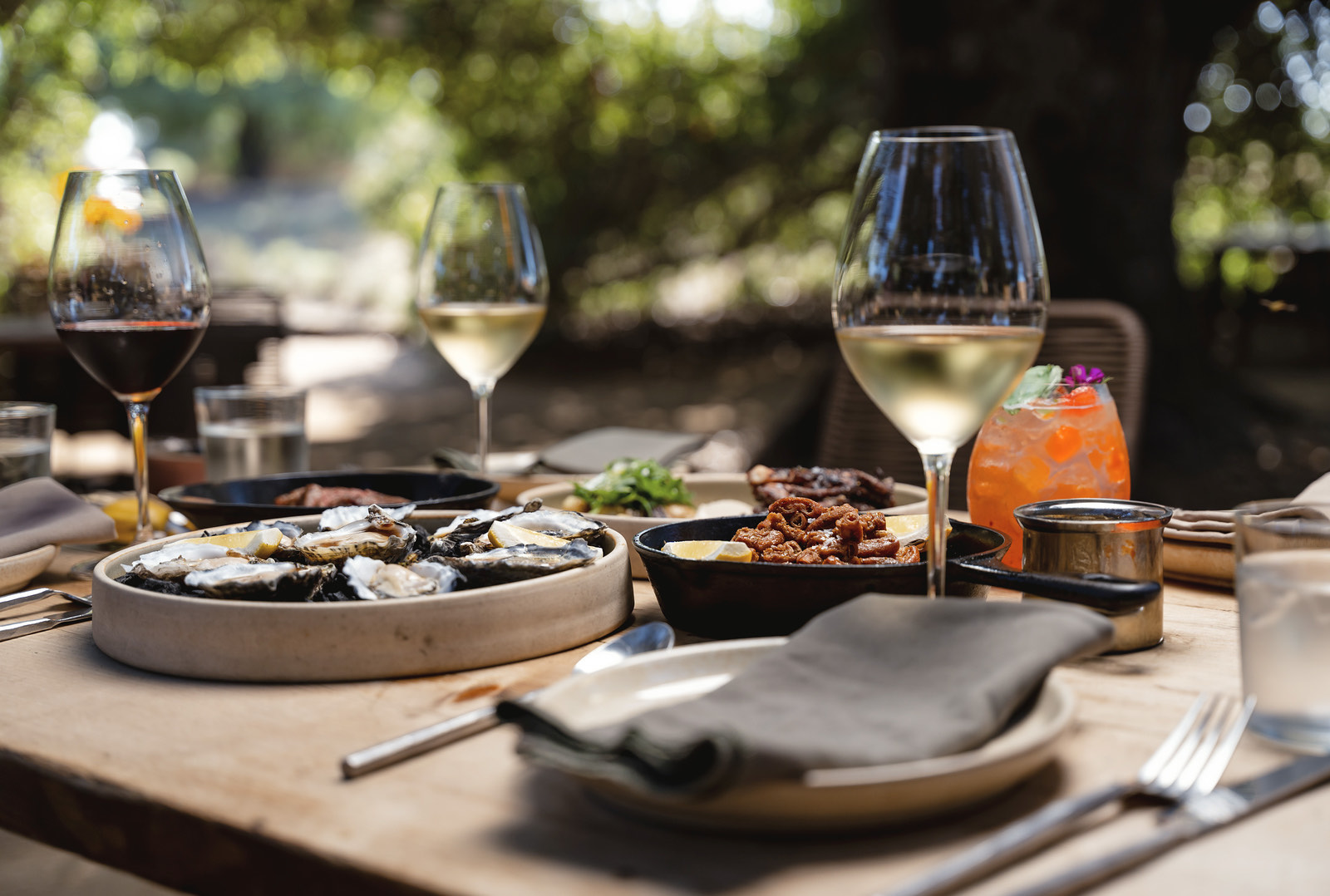 Comida al aire libre con vino blanco y tinto